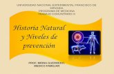 Historia natural de la enfermedad y niveles de prevencion