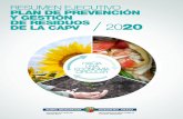 Plan de Prevención y Gestión de Residuos de la CAPV 2020 Resumen ejecutivo
