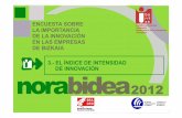 norabidea 2012: El índice de intensidad de innovación