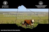 Modelo Bio-económico para la evaluación del impacto de la genética y otras variables sobre la cadena cárnica vacuna en Uruguay.