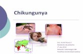 Chikungunya  2014