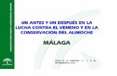 Un antes y un después en la lucha contra el veneno y en la conservación del alimoche. Málaga.