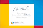 Oportunidades comerciales para la Quinua en Canadá