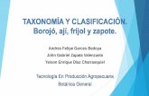 Taxonomía y clasificación.