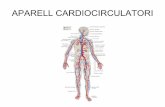 Aparell cardiocirculatori