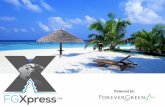 Presentacion oportunidad fgxpress_-_allstarglobal_-_rev10