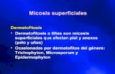 Micosis superficiales-1223792802528703-8