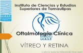 Patologías del Vítreo y Retina. Oftamología