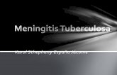 Meningitis tuberculosaexpokaryto