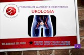 Fisiologia de la miccion e incontinencia urinaria smith