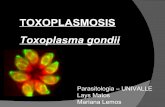 Inmunologia y Toxoplasmosis- Toxoplasma Gondii