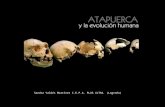 Atapuerca y Museo Evolución Humana