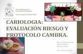 Cariología: Evaluación de Riesgo y CAMBRA