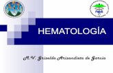 Clase  hematología