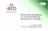 Dr dallo-presentacion-soluciones-biologicas-tratamiento-cartilago-01-congreso (1)