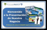 Stiforp Profits - Presentación Español