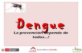 Dengue: Manejo actual