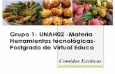 Comidas exóticas de Centro América Virtual Educa Grupro 1 UNAH 2