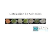 CIMA Industries Inc Divisón de Alimentos,Dr Jorge Rivera Líder Técnico de Liofilización.