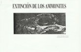 Extinción de los Ammonites