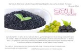 SOUL Pure Wellness | Energizante - Revitalizante - Desintoxicant