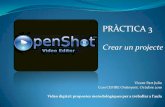 Openshot - Practica: Projectes