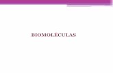 Biomoleculas 1ºmedio 2012