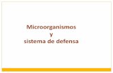Microbios y sistemas de defensa 2012