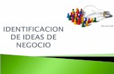 Identificacion de ideas_de_negocio