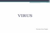Virus 2011