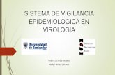 Sistema de vigilancia epidemiologica en virologia d