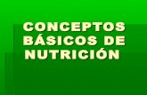 Conceptos basicos de nutricion y salud