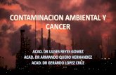 Contaminacion ambiental y cancer oms-ULISES REYES GOMEZ