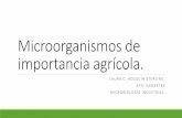 Microorganismos de importancia agrícola