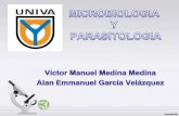 Microbiologia y parasitologia