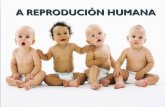 A reprodución humana