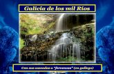 Galicia e os seus ríos