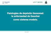 Patologías de depósito lisosomal: la enfermedad de Gaucher como sistema modelo. Pilar Giraldo