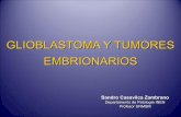 Glioblastoma y tumores embrionarios