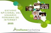 Estudio Nacional del Consumidor Peruano 2015 - Internet