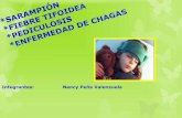 Fiebre Tifoídea, Sarampión, Pediculosis, enfermedad de Chagas