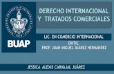 DERECHO INTERNACIONAL Y TRATADOS COMERCIALES