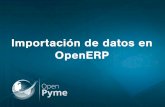 Importación de datos en OpenERP/Odoo