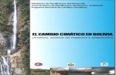 Cc en bolivia, análisis, síntesis de impactos y adaptación
