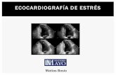 Ecocardiografía de estrés - Dr. Bosio