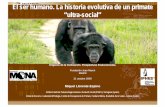 La Historia Evolutiva De Los Primates