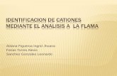 Practica 4 IDENTIFICACION DE CATIONES MEDIANTE EL ANALISIS A LA FLAMA