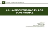 1.  la biodiversidad en los ecosistemas