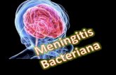 Meningitis med interna