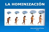 La hominización